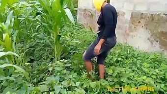 Agriculture Teacher Visits Student'S Maize Garden And Gets Intimate With Lucky College Boy