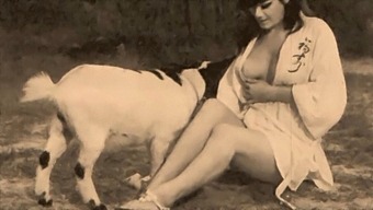 Retro-Inspired Video Exploring Taboo Themes Of Pet Play And Female Genitalia